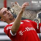 Franck Ribery, Bayer Munich