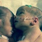 5c8a4b02260000f903fe28c8