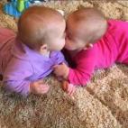 5c8a4b09250000580680f44a