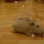 5c8a3e54250000bd0580e3b9