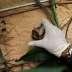 5c8a5ed1230000dd0423056d