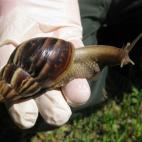 5c8a5ed1250000bd0581103c