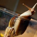 5c8a5ed22400004205a2ff7f