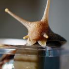 5c8a5ed2230000040123056f