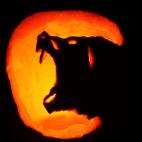 5c8b17552400000a05a40f79