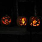 5c8b17592500000d04ca03f2