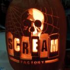 5c8b175a2000009e04701d42