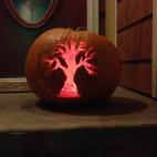 5c8b175b2500001304ca03fc