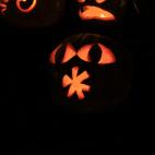 5c8b175c2000004504701d48