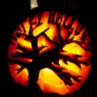 5c8b175d22000033001a4041