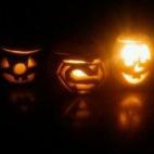 5c8b1763250000e203ca0410