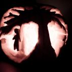 5c8b17642400006c05a40f9d