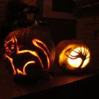 5c8b17652000004504701d5c