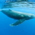 5c8a520c3b000054066bd671