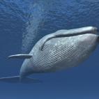 5c8a520c250000520680ff60