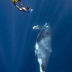 5c8a520d2400006d054bb658