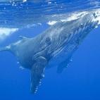 5c8a520f260000e104fe33ab