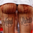 5c8b1bb8360000a61b6c7a65