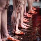 5c8b1bbe200000450470286f