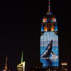 5c8b18662500000d04ca0611