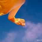 5c8ae5a8360000c81a6c401f