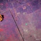 5c8ae5a82500000d04c9d3bd