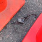 5c8ae5d1230000040123e3fa