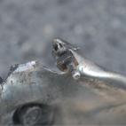 5c8ae5d13b000054066cc104