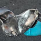 5c8ae5d320000045046fee69