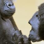 5c8ae6072300005400e75b57