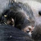 5c8ae6072400006d054ca381