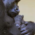 5c8ae6073b000070066cc159