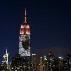 5c8b1867250000e203ca0615