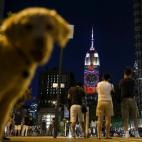 5c8b1868230000dd04241690