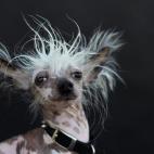 5c8b70252400004205a4b71a