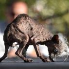 5c8b70252400000a05a4b71d