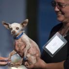 5c8b702524000093024d7acc