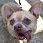 5c8b70253b000002076d95c9