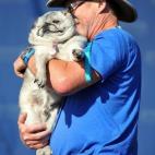 5c8b70262300005400e831af