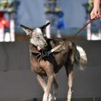 5c8b70262300005300e831b1