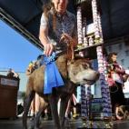 5c8b70262500001304caaa15