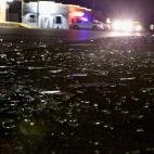 5c8ae6142000009e046feecd