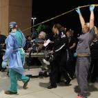 5c8ae61b22000051001a1031