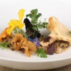 5c8a68b02400006f054bd1f5