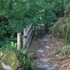 En su parte posterior, desde la cafetería, el parador tiene una puerta hacia un camino de castaños, ideal para recorrer tanto a primera hora de la mañana como a última de la tarde. Es un camino por momentos bastante escarpado lleno de encant...