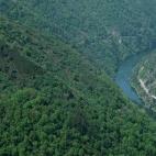 A escasos ocho kilómetros de Santo Estevo podrás embarcar en un catamarán para recorrer la belleza de los cañones del río Sil, especialmente bonitos en las estaciones de primavera y otoño. Actualmente operan tres servicios diferentes de ca...