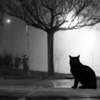 5c8b64a72400006c05a499ce