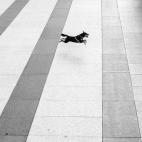 5c8b64ac230000d504249e41