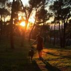 Foto tomada en Dehesa de la Villa.