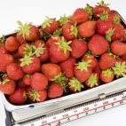 5c8a8faa3b000072066c1f94